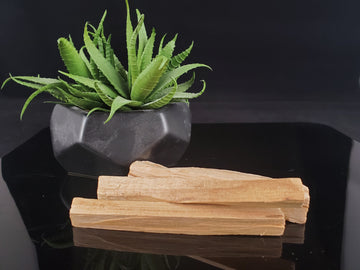 Palo Santo