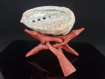 Abalone Shell with Stand