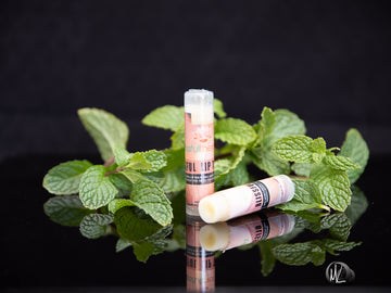 Lip Balms Set
